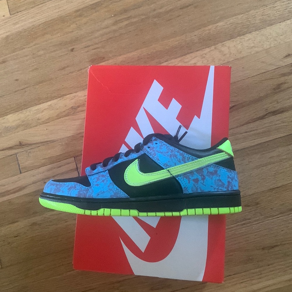 Brand new Nike Dunk 7.5 Women’s 6 boys